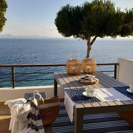 blau cel Apartment Alcudia  Exterior foto